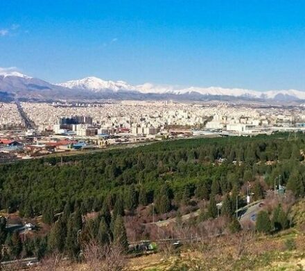 رفع موانع کاشت ۳۰ هزار درخت در بوستان سرخه حصار