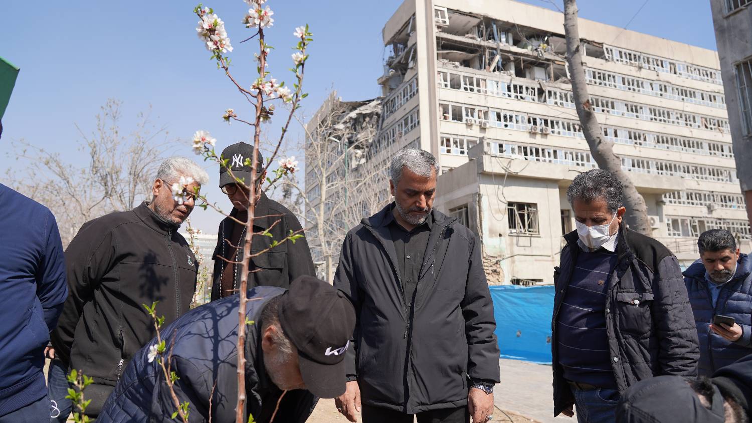 برگزاری پویش «به یاد سرو، به نام ایران» در تهران؛ از چیتگر تا میدان ارگ